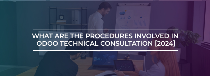 What are the Procedures Involved in Odoo Technical Consultation [2024]